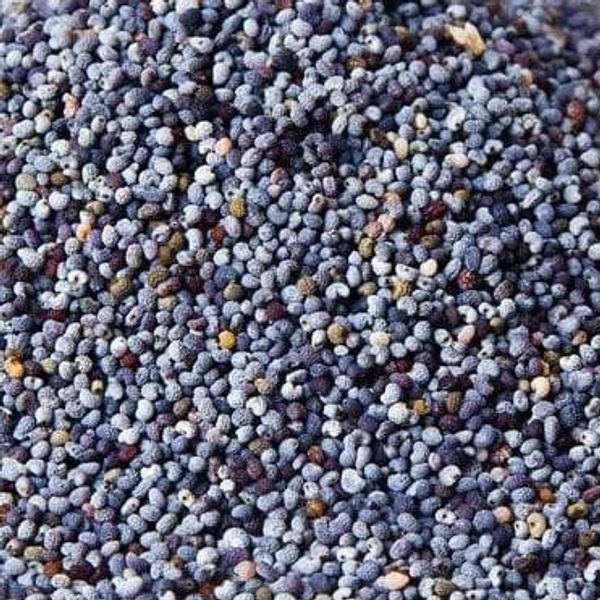 Poppy Seeds Blue 100g