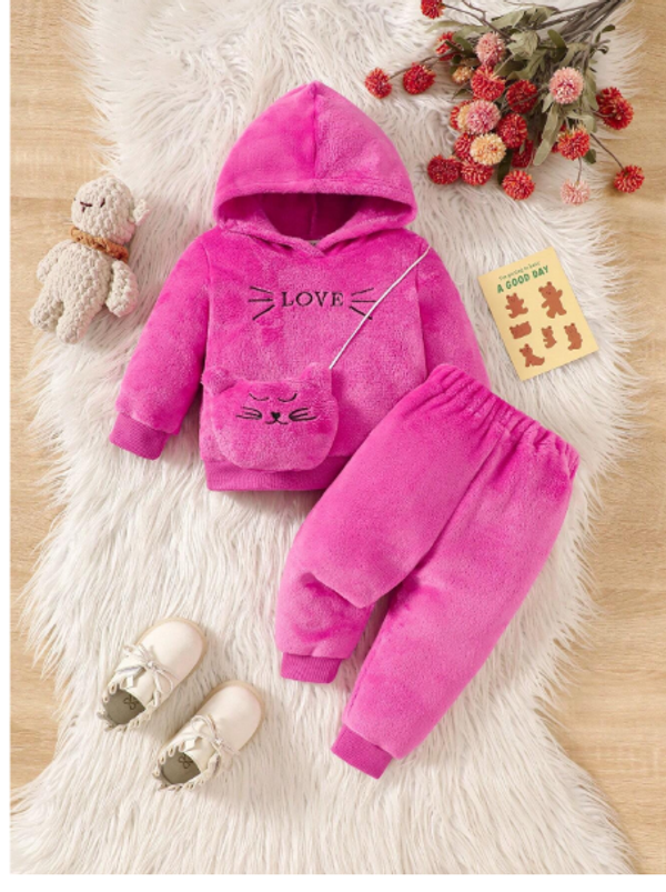 2pcs Baby Girl Hooded Letter Embroidered Long Sleeve Top And Elastic Waist Pants Casual Outfit