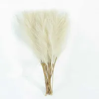 6PCS Artificial Pampas Grass Decor Flowers Fake Plant Reed for DIY Floral Table Arrange Flower Wedding Home Christmas Decoration