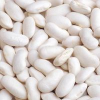 White Kidney Beans 500g