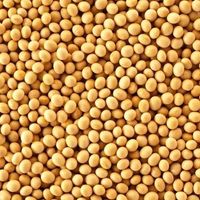 Soya Beans Whole  1KG New Zealand