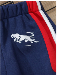  2pcs Young Boy Casual Sporty Street Chic Cute Stylish Leopard Tricolor Print Zip-Up Hoodie + Long Pant